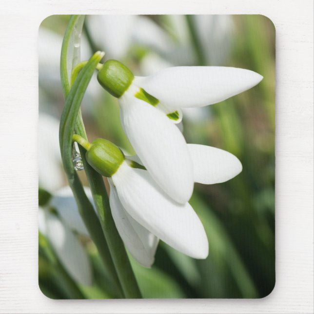 Mousepad Flores de neve (Frente)