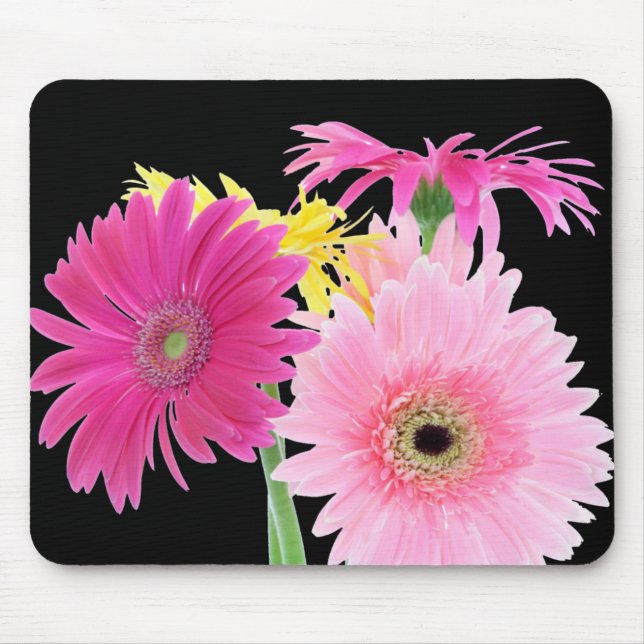 Mousepad Flores de Piink da margarida do Gerbera (Frente)