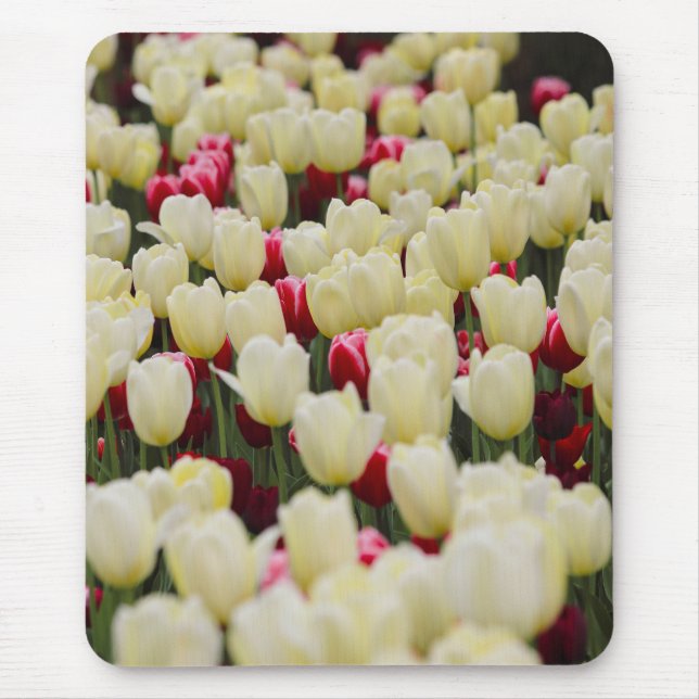 Mousepad Flores de primavera (Frente)