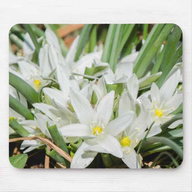Mousepad Flores de primavera (Frente)