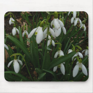 Mousepad Flores de primavera Brancas I (Galanthus)