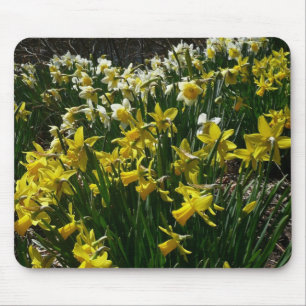 Mousepad Flores de primavera de Daffodils Amarelos e Branco