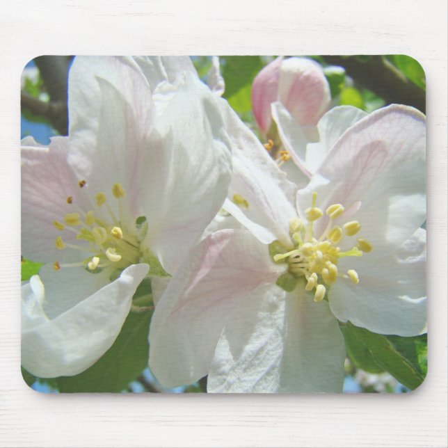 Mousepad Flores de Primavera qualidade do apoio de rato App (Frente)