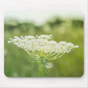 Mousepad Flores de rendas selvagens da Rainha Anne