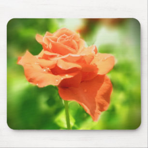 Mousepad Flores de Rosa Romântica #2