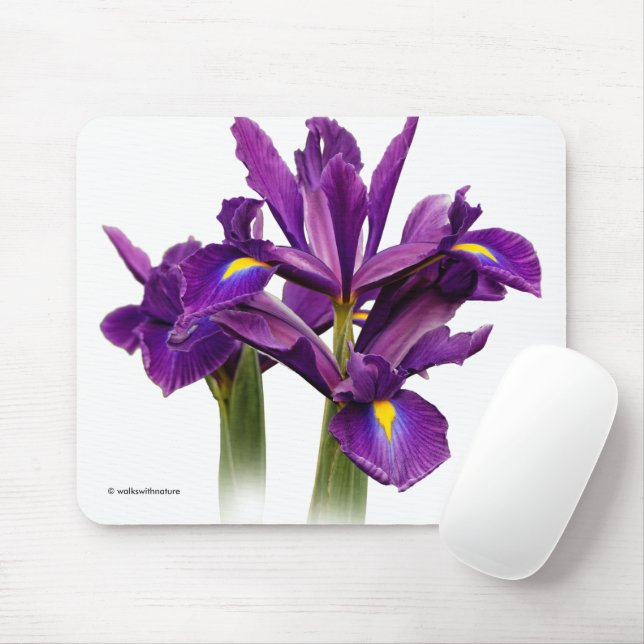 Mousepad Flores De Sensação De Roxo Iris Neerlandesas Elega (Com mouse)