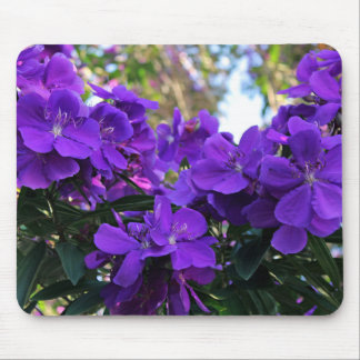 Mousepad Flores de Tibouchina