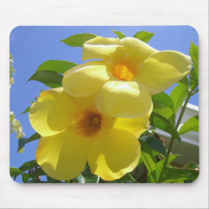 Mousepad Flores de Trompetes do ouro I