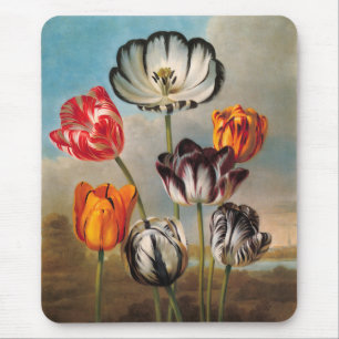 Mousepad Flores de Tulipa Variegada Antiga em uma Paisagem