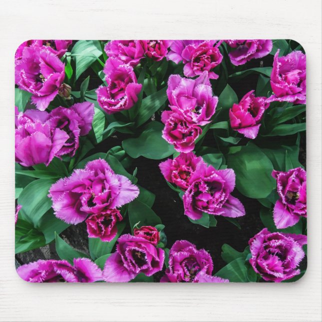Mousepad Flores de tulipas rosa (Frente)