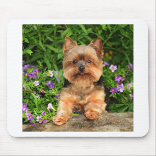 Mousepad Flores de Yorkie
