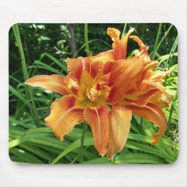 Mousepad Flores Diurnas Laranja Horizontais (Frente)