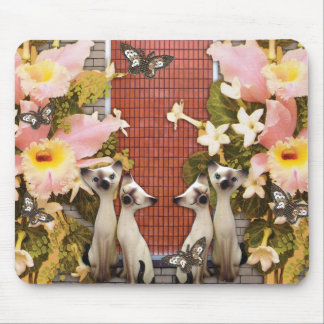 Mousepad flores do amor dos kats do gatinho