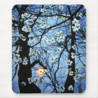Mousepad Flores do Dogwood com por do sol