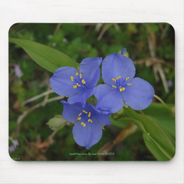 Mousepad Flores-do-mato-azuis Primaveras quentes (Frente)