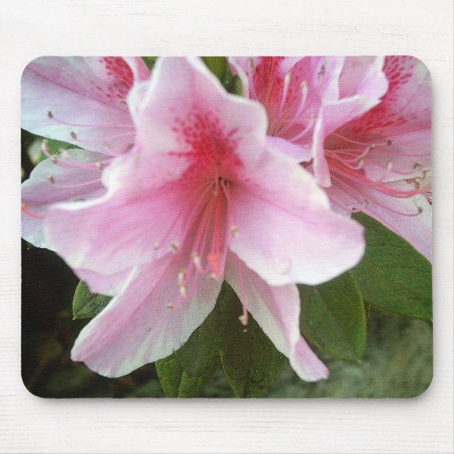 Mousepad Flores do rododendro (Frente)
