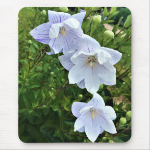 Mousepad Flores em Chateau Morrisette Winery, Floyd, VA