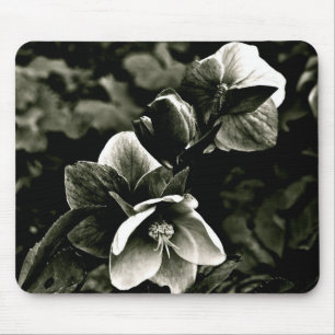 MOUSEPAD FLORES EXÓTICAS DA ÁRVORE EM PRETO E BRANCO