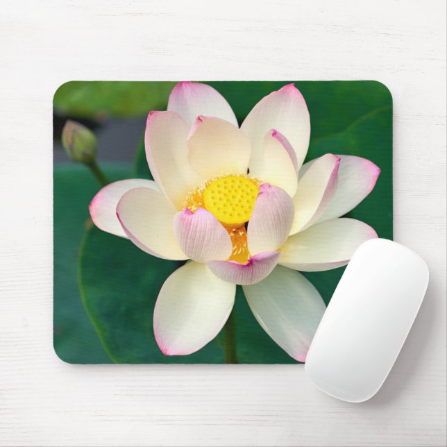 Mousepad Flores | Flor de Água Lotus (Com mouse)