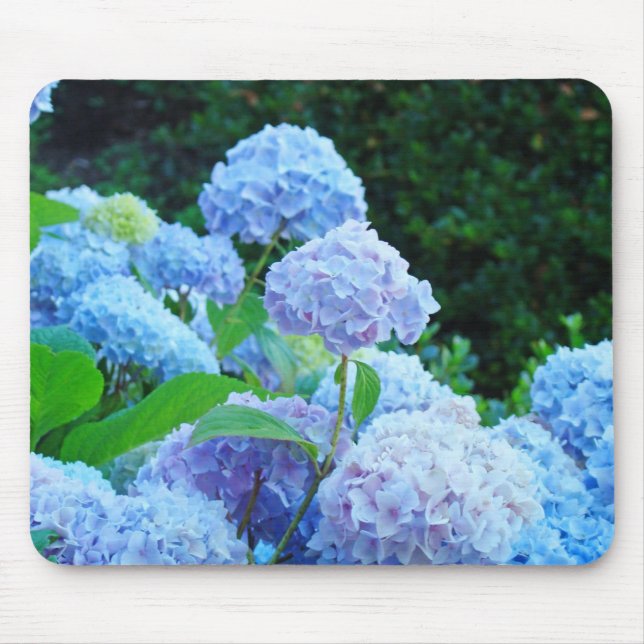 Mousepad Flores Florais Azuis Hydrangea Gardens (Frente)