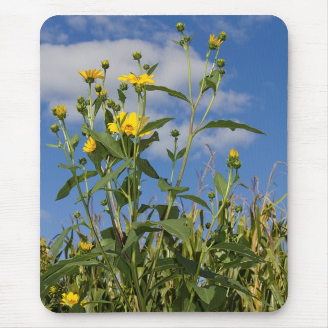 Mousepad Flores Florais Fotografia de Flores Selvagens (Frente)