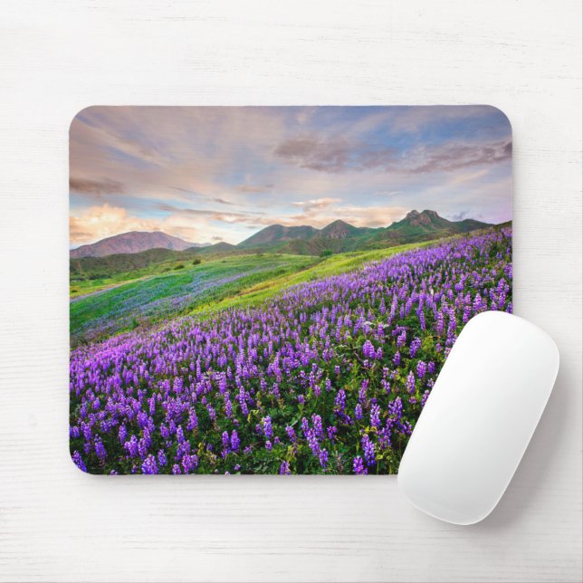 Mousepad Flores | Flores selvagens da Califórnia (Com mouse)