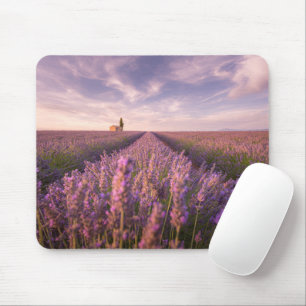 Mousepad Flores   França Lavanda do Sul