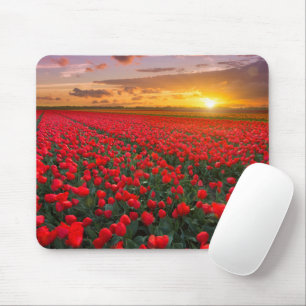 Mousepad Flores   Jardim Botânico Holanda