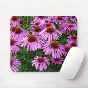 Mousepad Flores Jardim de Coneflower Rosa