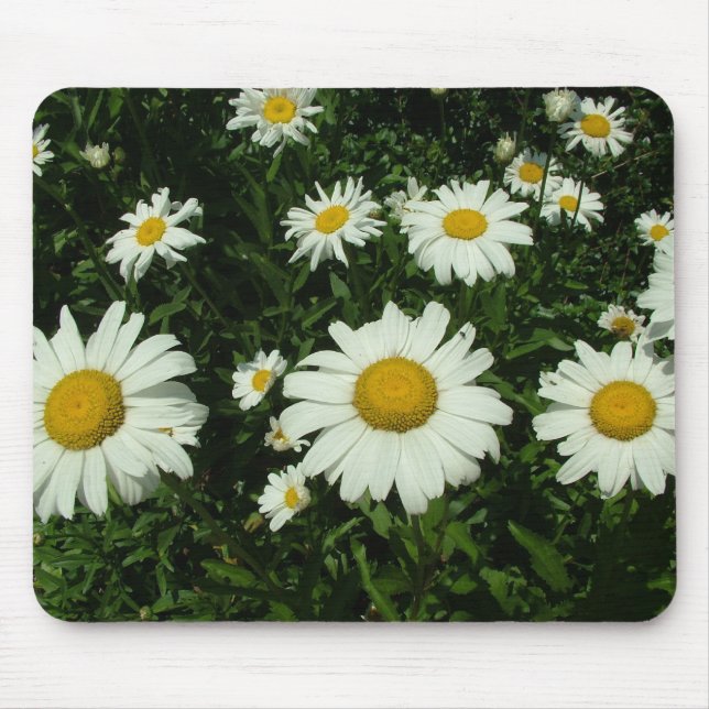 Mousepad flores margaridas brancas (Frente)