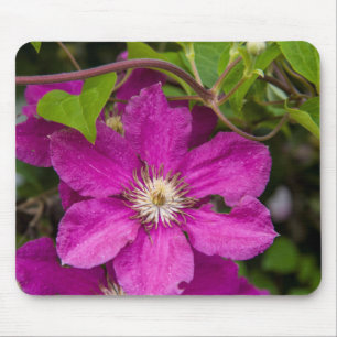 Mousepad Flores na Casa de Maçã e Loja de Presentes de Robi