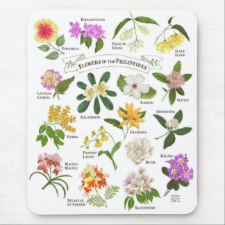 Mousepad Flores nas Filipinas