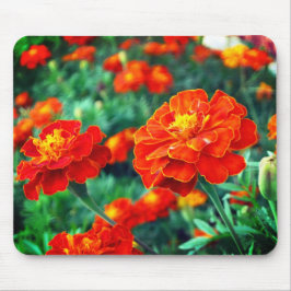 Mousepad Flores no Jardim