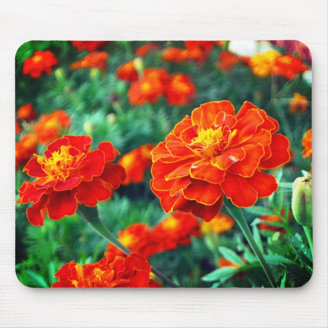 Mousepad Flores no Jardim (Frente)