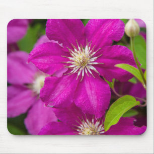 Mousepad Flores no Robinette's Apple Haus e Gift Barn 2
