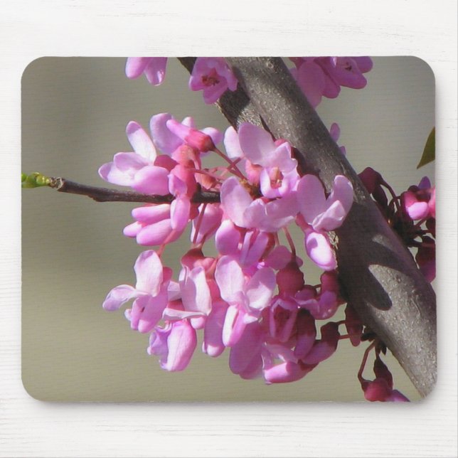 Mousepad Flores orientais de Redbud (Frente)