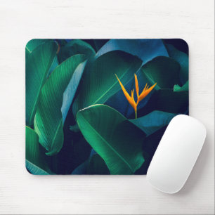 Mousepad Flores Pássaro do Paraíso