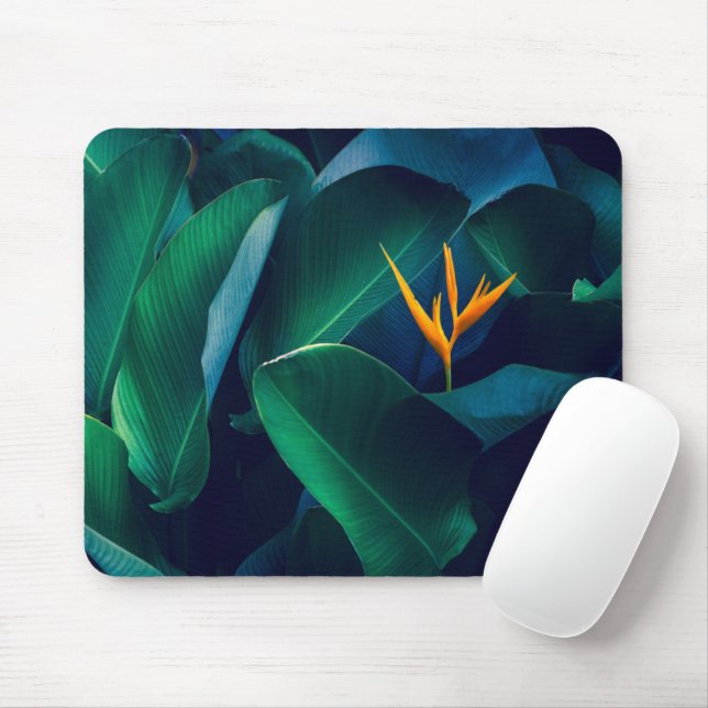 Mousepad Flores | Pássaro do Paraíso (Com mouse)
