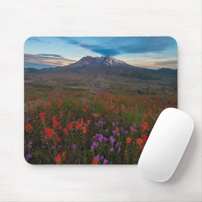 Mousepad Flores | Pincel-da-índia (Com mouse)