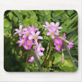 Mousepad Flores Primavera cor-de-rosa deliciosas