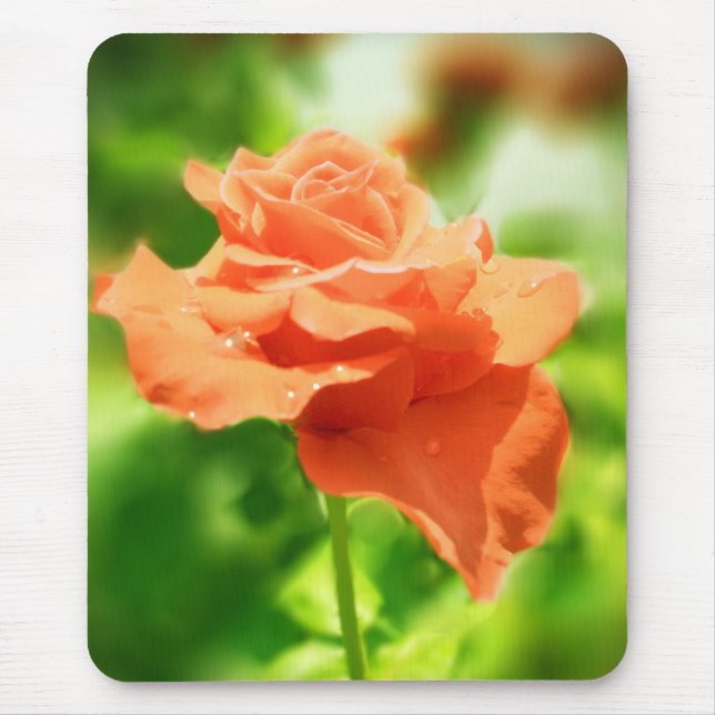 Mousepad Flores Românticas de Rosa (Frente)