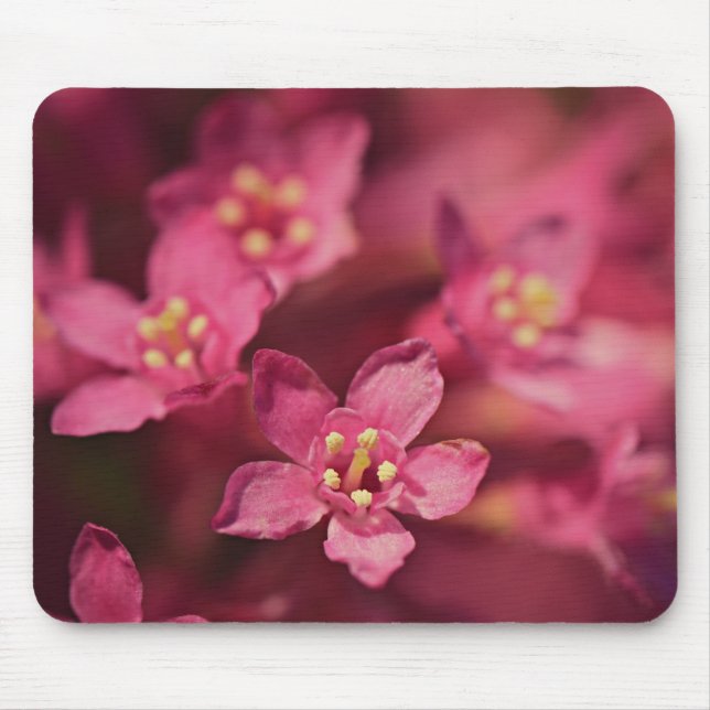 Mousepad Flores Rosa Bonitas (Frente)