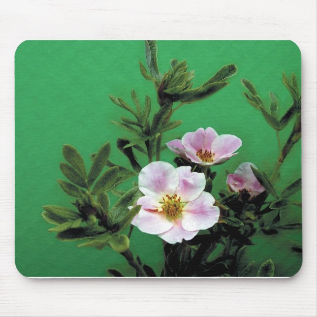 Mousepad flores rosa silvestre, cor-de-rosa, a verde, Elega (Frente)