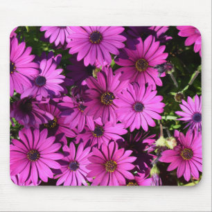 Mousepad Flores roxas de osteospermum