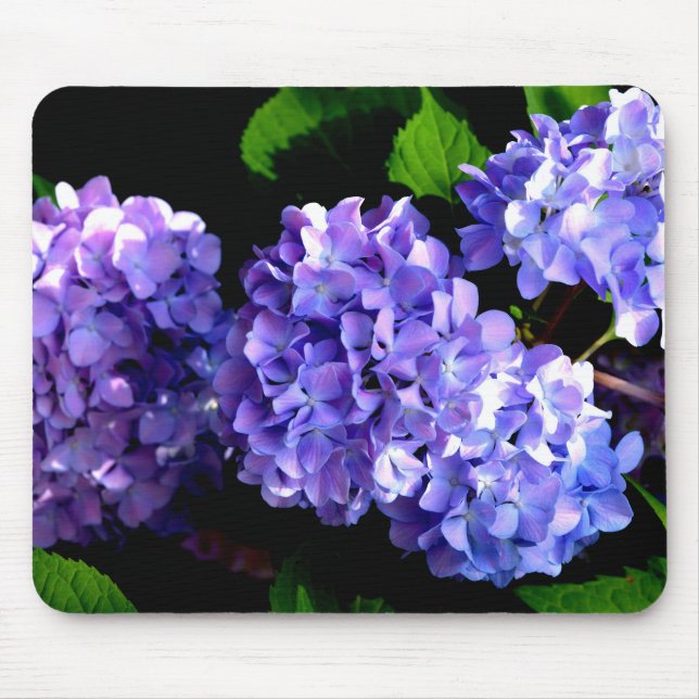 Mousepad Flores roxas, flores azuis (Frente)