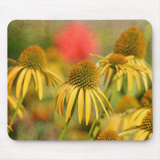 Mousepad Flores Rustic Echinacea (Frente)