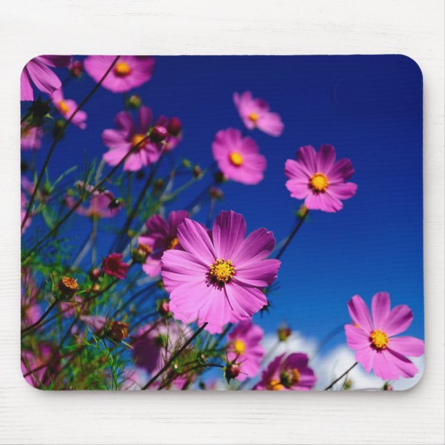 Mousepad Flores selvagens (Frente)