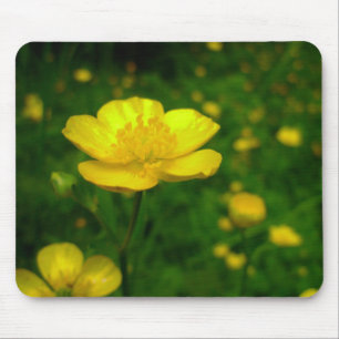 Mousepad Flores Selvagens Bolsas - Presentes de Computador