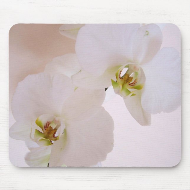 Mousepad Flores selvagens brancas da orquídea do (Frente)