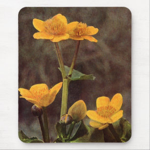 Mousepad Flores selvagens: Marigold
